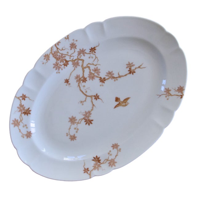 Large Antique Oval Limoges Porcelain Platter with Bird Decor from Charles Haviland, 1930s For Sale