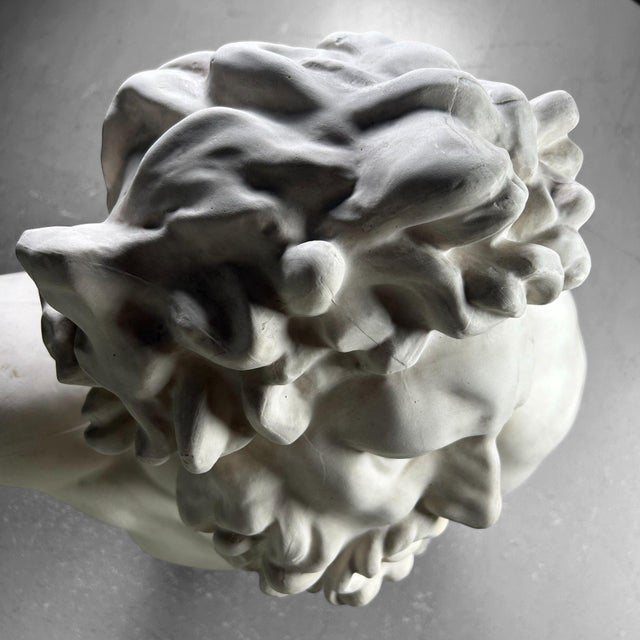 Plaster Bust of Laocoön, 1960s For Sale - Image 6 of 18