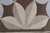 Sand "Pinwheel" Contemporary Bessarabian Floral Pale Sand Rug by Doris Leslie Blau For Sale - Image 8 of 9