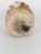 Midcentury Handmade Stoneware Crackle Glaze Vase For Sale - Image 13 of 16