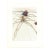 Original engraving from Salvador Dalí’s "The Divine Comedy" published by Editions d’Art Les Heures Claires, Paris, in...