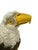 Textile Limited Edition 00493/1500 Bald Eagle from Steiff, 2003 For Sale - Image 7 of 13