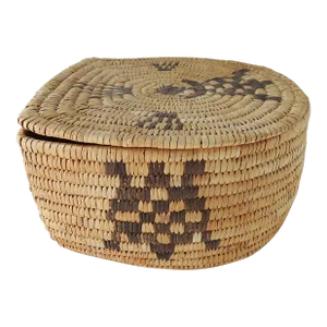 Vintage Papago Hand Woven Covered Basket Turtle Design