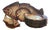 Fish Service by Paul Fouillen, 1950, Set of 11 For Sale