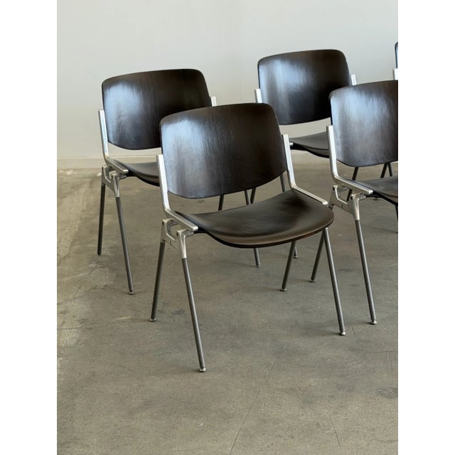 Wood 1970s Giancarlo Piretti for Castelli Chairs - Priced Per Chair For Sale - Image 7 of 18