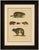 Brodtmann, Alpine Marmot, Hamster, Lemming & Rock Hyrax, 1816, Lithograph For Sale - Image 9 of 10