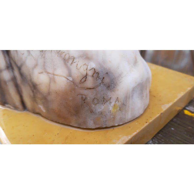 Marble Bust from Libero Gremigni, Rome, 1900 For Sale - Image 13 of 14