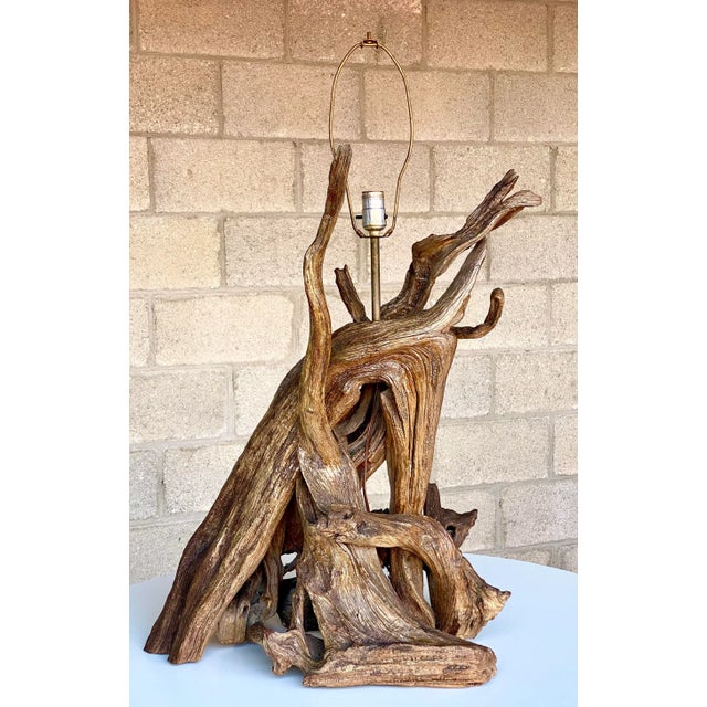 Monumental Organic Driftwood Sculptural Table Lamp For Sale In West Palm - Image 6 of 12