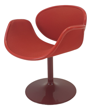 Little Tulip Armchair by Pierre Paulin for Artifort, 1960s