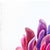 2020s Rainbowland Chrysanthemum II - Original Botanical Floral Watercolor Painting on Paper by Xiao Wen Xu For Sale - Image 5 of 6