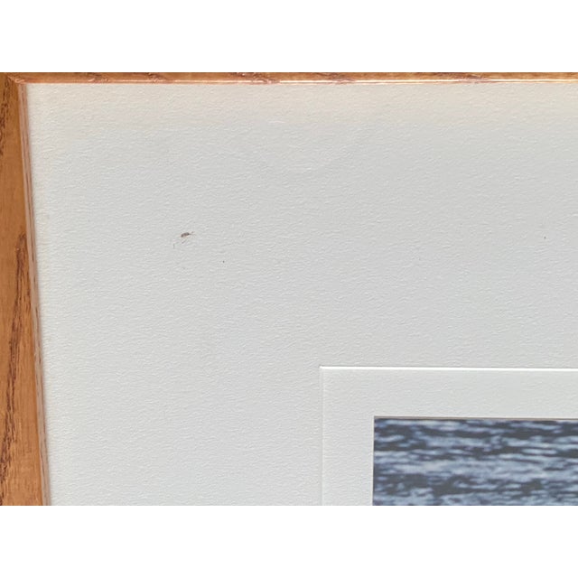 Wood 1990s Art Wolfe Signed Limited Edition 9/250 Photograph Orcas Sierra Club Oak Frame For Sale - Image 7 of 9