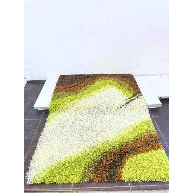 Mid-Century Modern Vintage High-Pile Rug by Desso, 1970s For Sale - Image 3 of 15