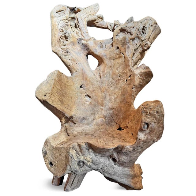 Tan Vintage Giant Teak Root Throne Chair For Sale - Image 8 of 11
