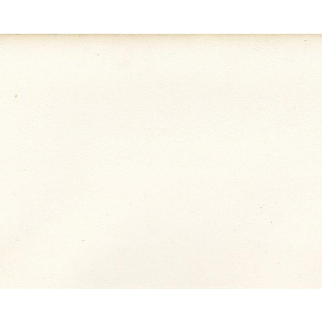Paper Victor Rose, Lyon Veterinary School from the Saone, 1873, Paper For Sale - Image 7 of 12