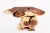Naturel Form Console Table, 55" Long Light Brown 48 For Sale In Greensboro - Image 6 of 6