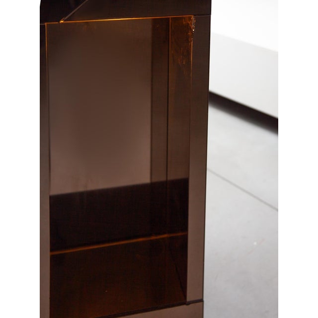 Smoked Mirrored Illuminated Planter attributed to Belgo Chrome, 1970s For Sale - Image 12 of 15