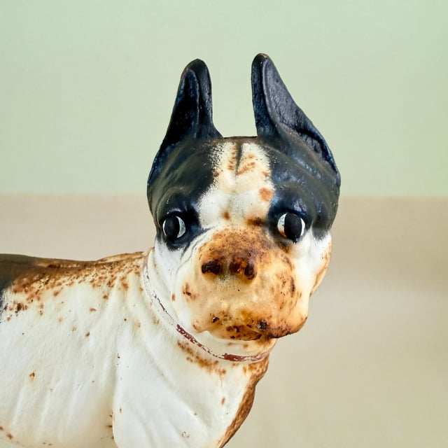 A Hubley cast iron doorstop, a Boston Terrier, showing the original painted finish, circa early 1900s. This form shows the...