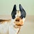 A Hubley cast iron doorstop, a Boston Terrier, showing the original painted finish, circa early 1900s. This form shows the...