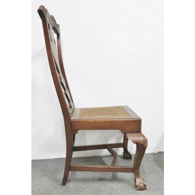 Early 1900's pair of Chippendale side / dining chairs . made of pine, carved claw and ball feet with shell carved crest...