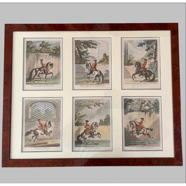 Johann Elias Ridinger, Equestrian Engravings, 1760, Etching, Framed For Sale - Image 12 of 12