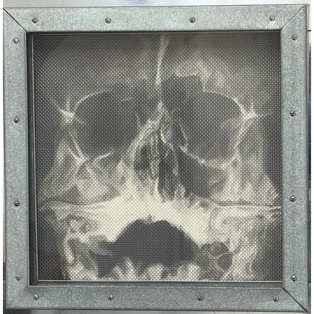 Circa 1990 Dougken "Vanity" Graphite on Paper Art Work in Metal Frame For Sale - Image 4 of 12