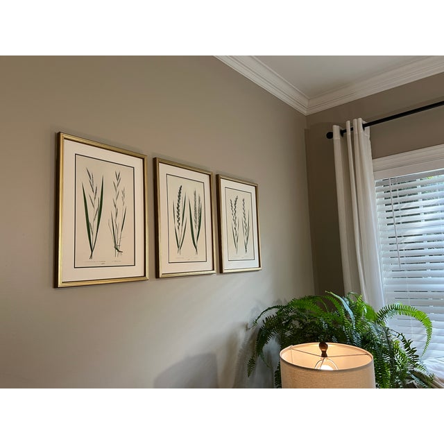 English Grass Botanical Framed Set of 3 - Giclee of Edward Lowe 19th Century Prints For Sale In Greensboro - Image 6 of 6
