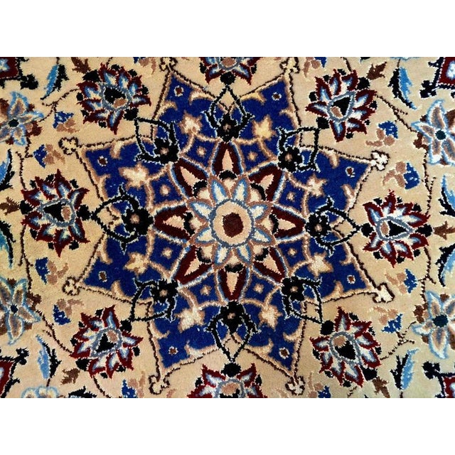 Middle Eastern Nain Rug in Cork Wool For Sale - Image 6 of 11