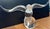 Glass 1960s Signed Steuben Crystal Eagle Sculpture — Large 13" Wingspan, Bird on Ball For Sale - Image 7 of 8