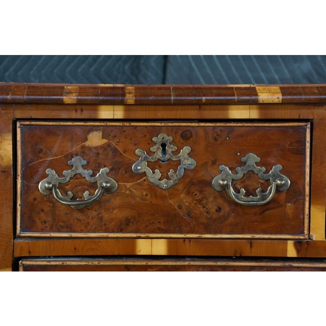 Brown Antique English George II Style Oyster Burl Yew Bachelors Chest Dresser Commode For Sale - Image 8 of 18