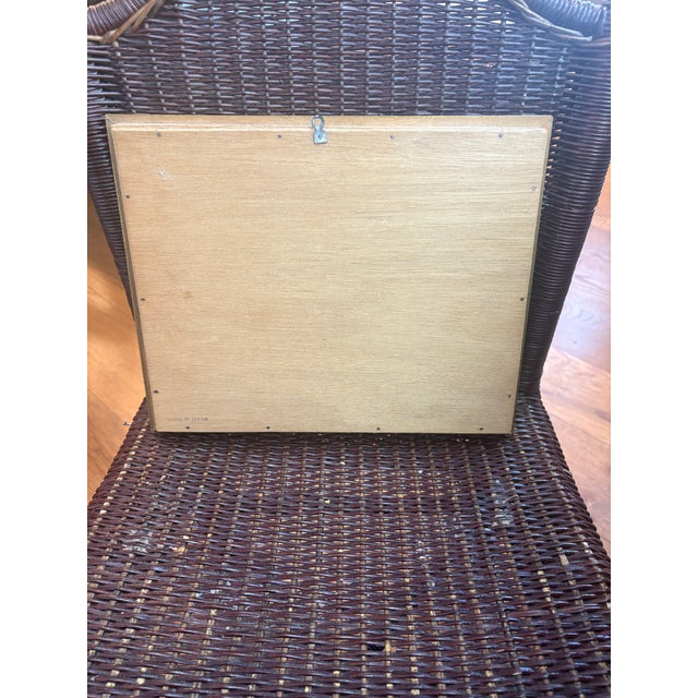 This is a vintage framed cultured pearl specimen shadow box, likely produced in Japan during the 1940s or 1950s. These...