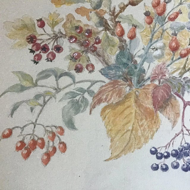 Paint Vintage Winter Berries in a Cotswolds Garden Framed Watercolor Painting For Sale - Image 7 of 9