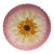 French Majolica Pink Daisy Plate Orchies, Circa 1890 For Sale