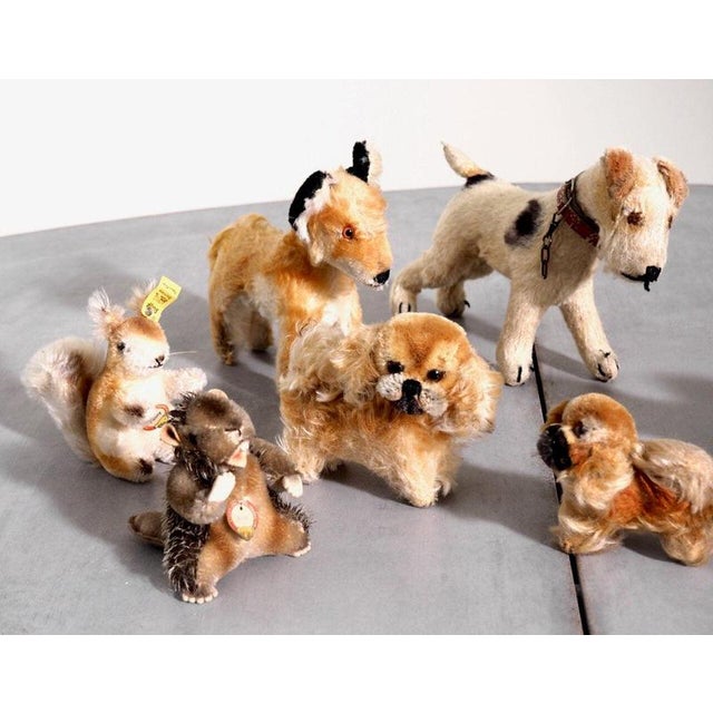 Steiff Teddy Bears, 20th Century, Set of 7 For Sale - Image 3 of 4