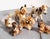 Steiff Teddy Bears, 20th Century, Set of 7 For Sale - Image 3 of 4