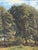 Late 19th Century Godfred Christensen, Sunlit Beech Forest, Oil Painting, 1879 For Sale - Image 5 of 11