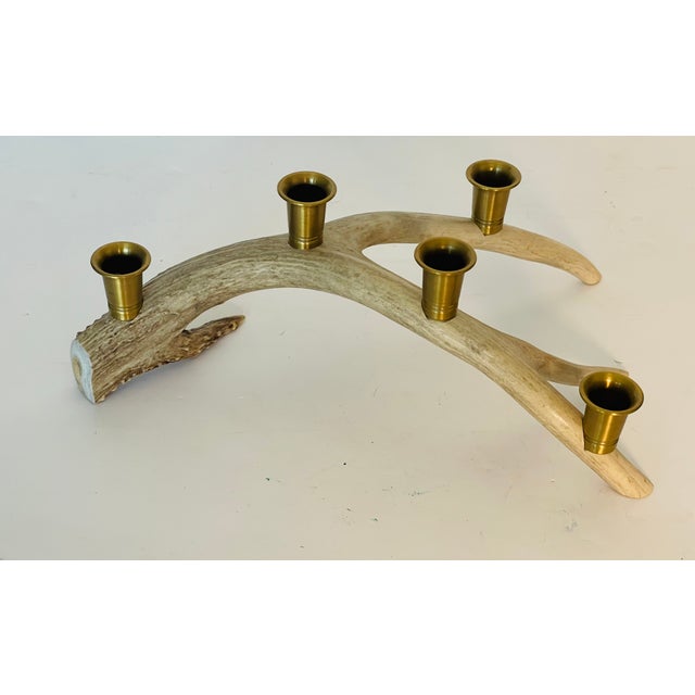 Original caribou antler with mounted brass candleholders for 5 candles stand. Organic modern style home design.