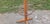 Large vintage Stella bistro-style coat rack from the 1950s. Solid beech frame, 12 solid black wooden hooks. Umbrella...