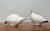 Vintage Handmade Ceramic Riekko Bird Whistles from Punainen Paja and Lintupaja, Finland, 1970s, Set of 2 For Sale - Image 10 of 18