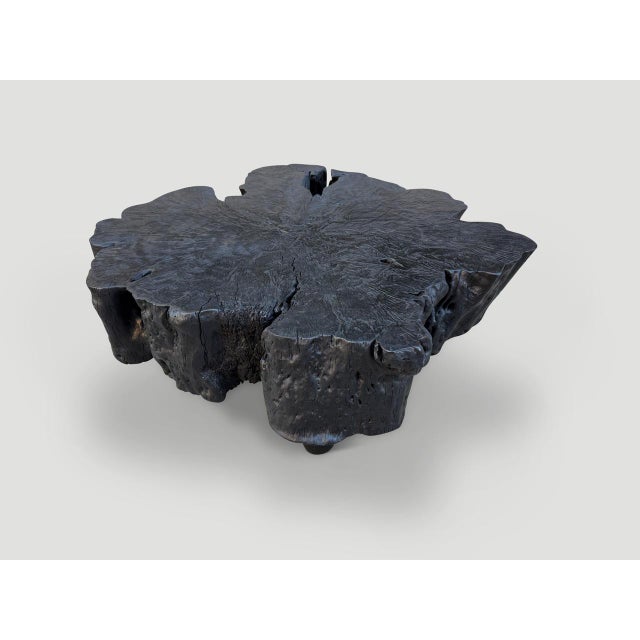 Andrianna Shamaris Charred Amorphous Coffee Table For Sale - Image 18 of 18
