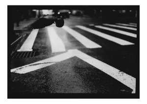 Untitled #19, Pigeon Wall St From New York, Black and White, 2017