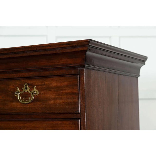 English George III Mahogany Chest of Drawers, 1820 For Sale - Image 10 of 13