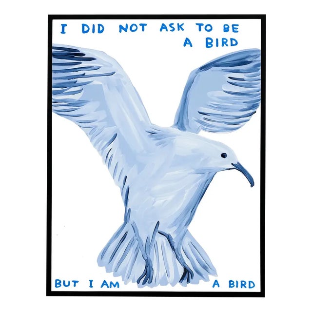 David Shrigley, I Did Not Ask to Be a Bird, 2021, Lithograph Poster, Framed For Sale