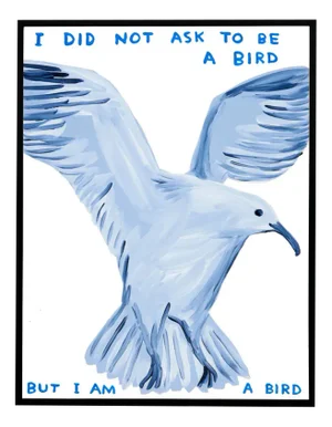 David Shrigley, I Did Not Ask to Be a Bird, 2021, Lithograph Poster, Framed