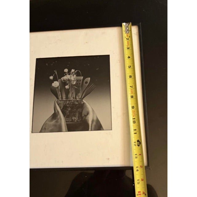 Len Prince 1990s Original Two-Toned Photograph For Sale - Image 4 of 5