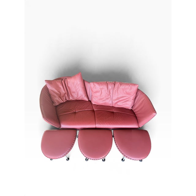 1990s Vintage DS-102 Red Leather Sofa with Ottomans from de Sede, 1990s, Set of 4 For Sale - Image 5 of 9