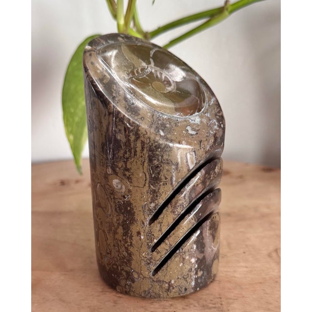Polished Ammonite Fossil Stone Card Holder – Sculptural Natural History Décor A striking polished ammonite fossil card...