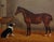 Edwin Loder -Horse & English Shepherd Dog in a Stable-1885 Oil Painting For Sale - Image 4 of 13