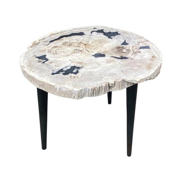 Andrianna Shamaris Petrified Wood Slab Table with Steel Base For Sale In New York - Image 6 of 18