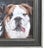 Two English Bulldogs portrait study, acrylic painting on artist panel. Included are the antiqued black-and-silver wood...