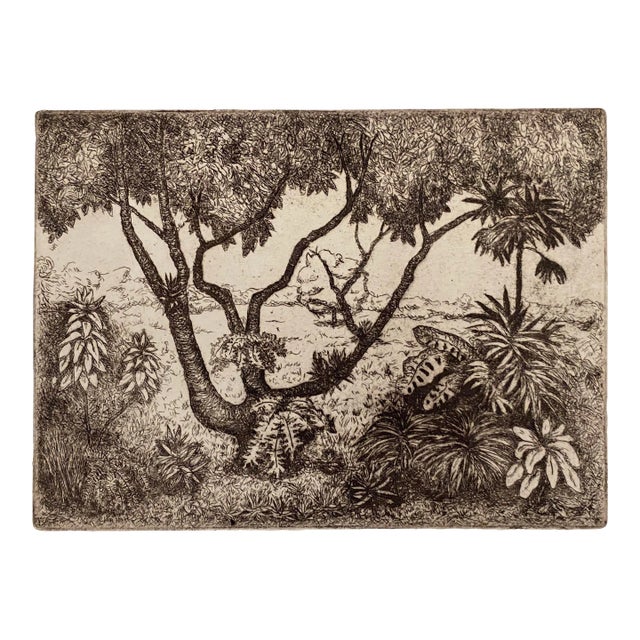 1980s Tropical Garden Landscape Etching Chairish